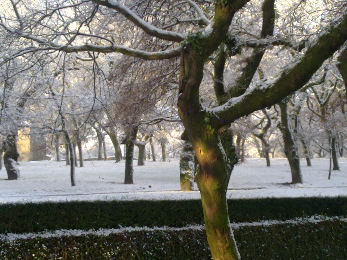 El Paseo de la Herradura presentó este aspecto durante los días de la nevada