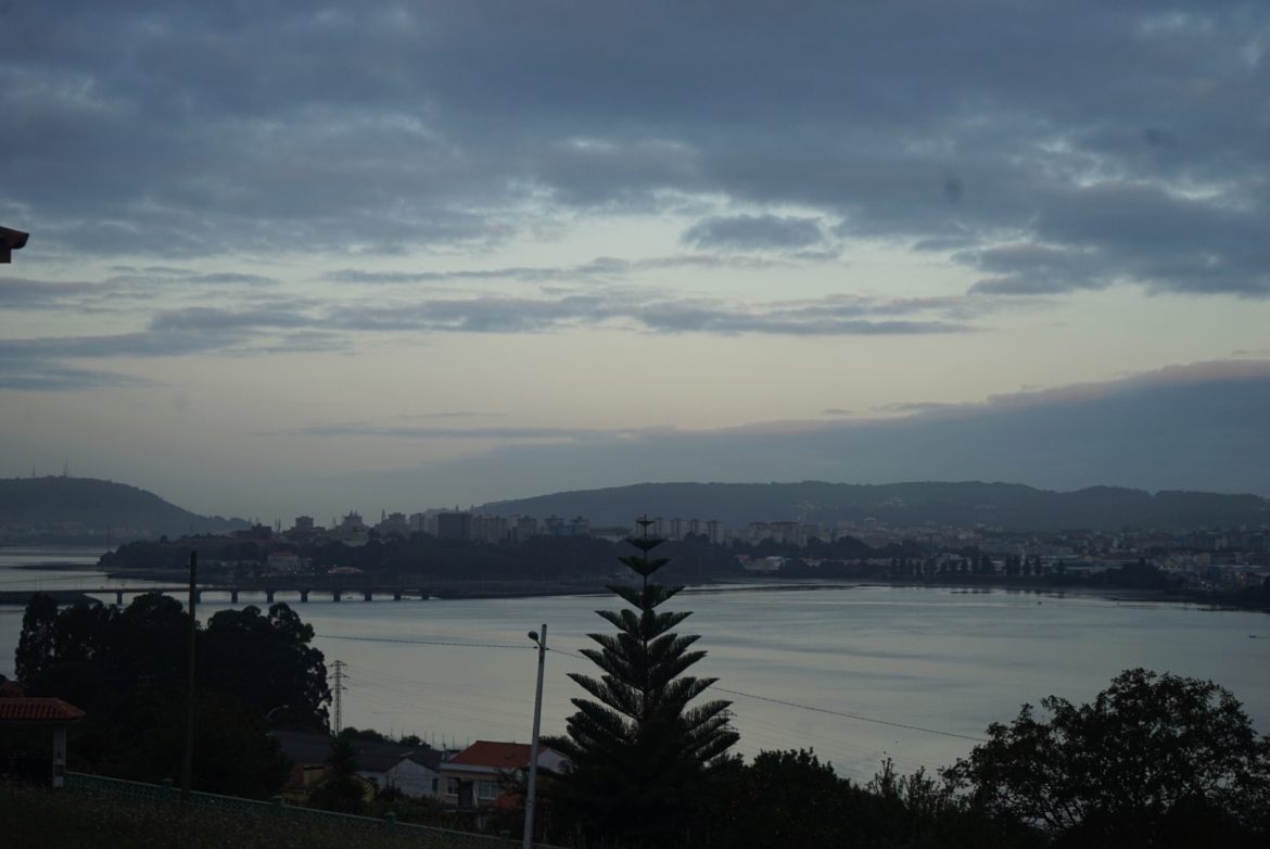 DSC08437