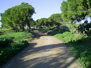Tramo del Camino de Cádiz