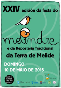 Cartel Melindre 2015