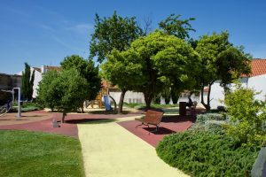 Jardin da Fregredsía S. Maria Maior. Lisboa