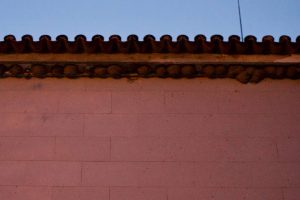 Nidos de golondrinas en el nave de Vinhos Mato. en Carra