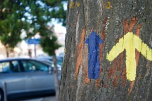 señales de los caminos a Fátima, en azul, y a Santiago en amarillo. Azambuja