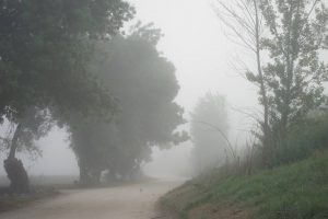 Camino de Santarém