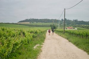 Camino de Vale de FIgeuira.