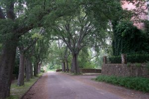 Quinta da Cardiga