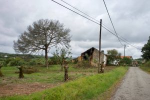 Camino de Alvaiázere