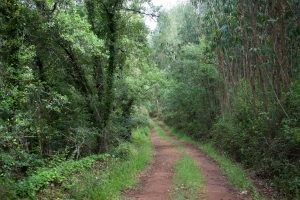 Camino de Alvaiázere.