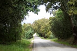 Camino de Alvaiázere