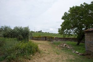 Camino de Alvaiázere.