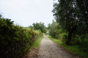 Camino de Alvaiázere.