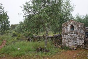 Capillita en el camino a Rabaçal.