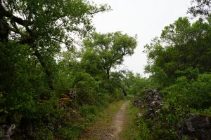 Camino de Rabaçal