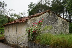 camino de Rabaçal.