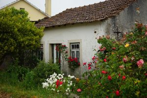 Camino de Rabaçal