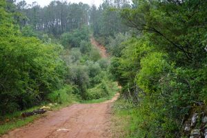 Bajada y subida en el camino a Rabaçal.