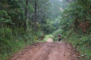 En bicicleta camino de Rabaçal.