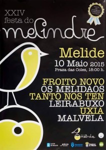 Cartel musical Festa do Melindre 2015