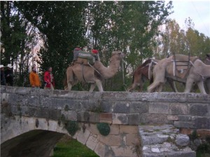 Los Centauros han completado otras rutas a lomos de los camellos