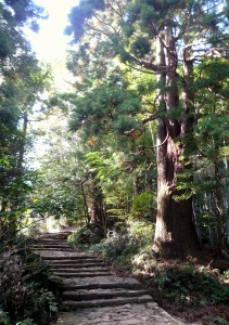 Kumano Kodo