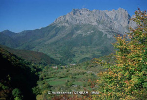 Picos de Europa