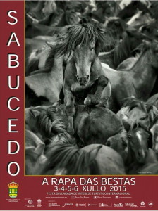 Rapa das Bestas Sabucedo 2015