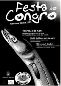 cartel Festa do Congro 2015