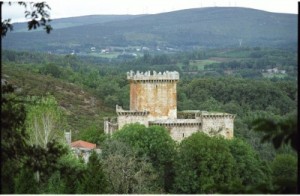 castillo de Pambre 
