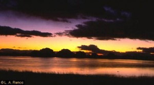 Laguna de Chozas al atardecer, de L. A. Ramos