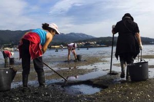 mariscadoras en Os Lombos de Ulla 