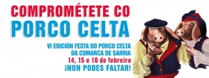 porco celta sarria