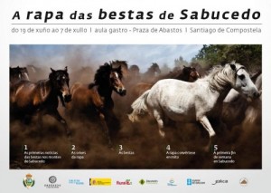 rapa das bestas sabucedo 2014