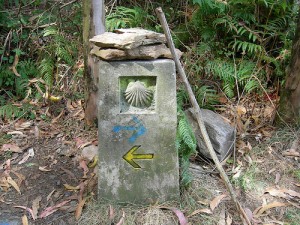 señal camino de santiago