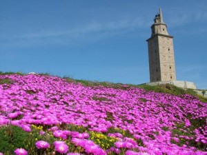 torre de hércules