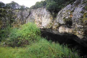 una de las entradas a la cueva de atapuerca